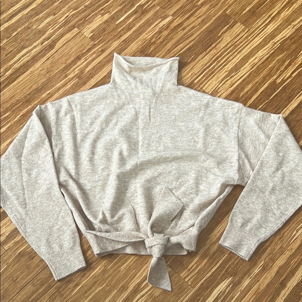 NWT aritzia beige sweater